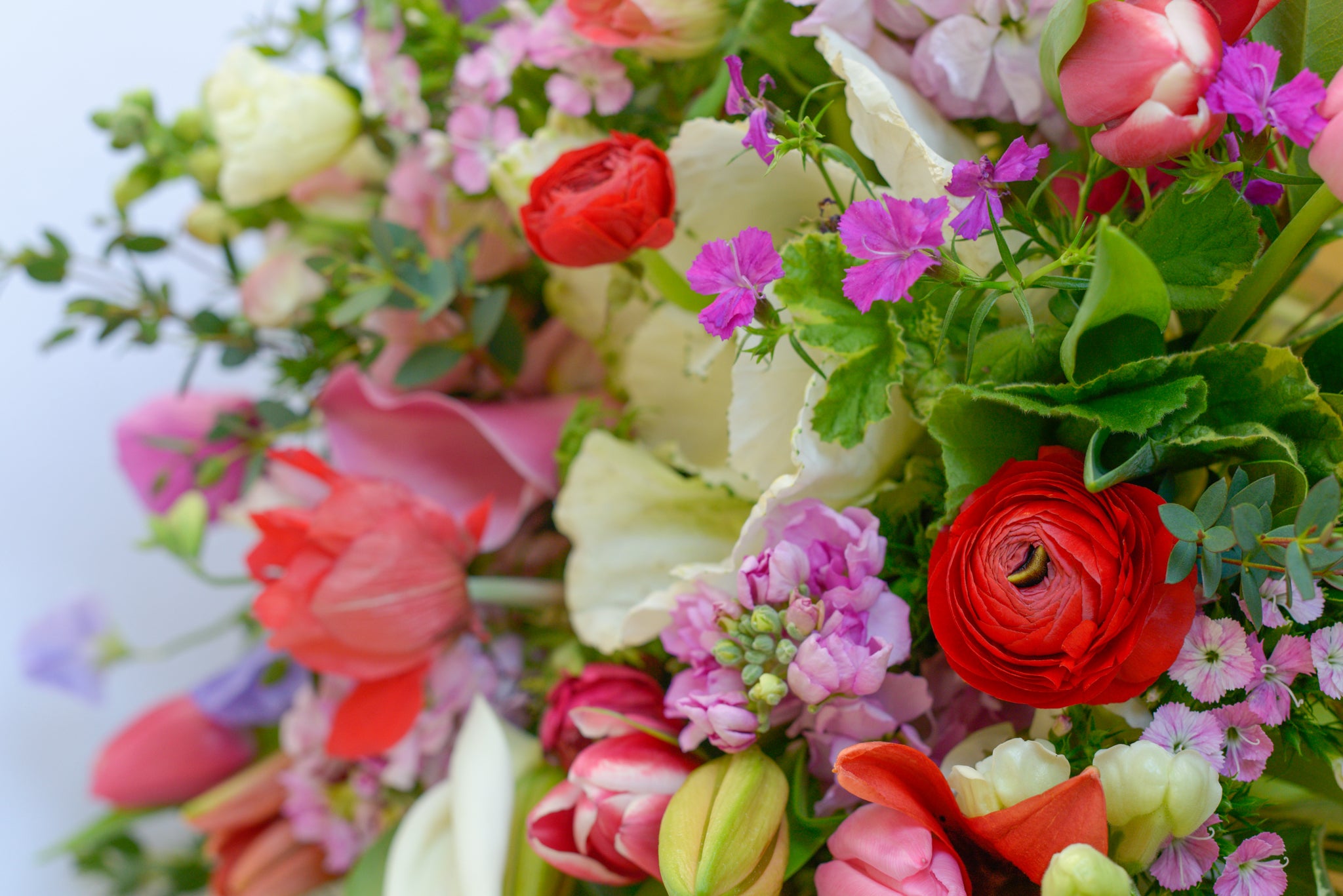 Premium Photo | Beautiful gerbera flowers arrangement background, different  spring flowers bouquet wallpaper